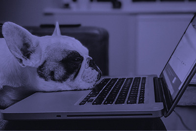 Top 5 resources for teaching remotely Top 5 resources for teaching remotely