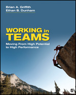 Working in Teams