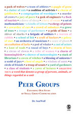 Peer Groups