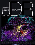 Journal of Dental Research